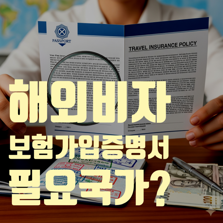  해외여행 비자, '보험 가입 증명서'가 발급의 열쇠가 되는 국가 총정리 (2025년 최신 정보)