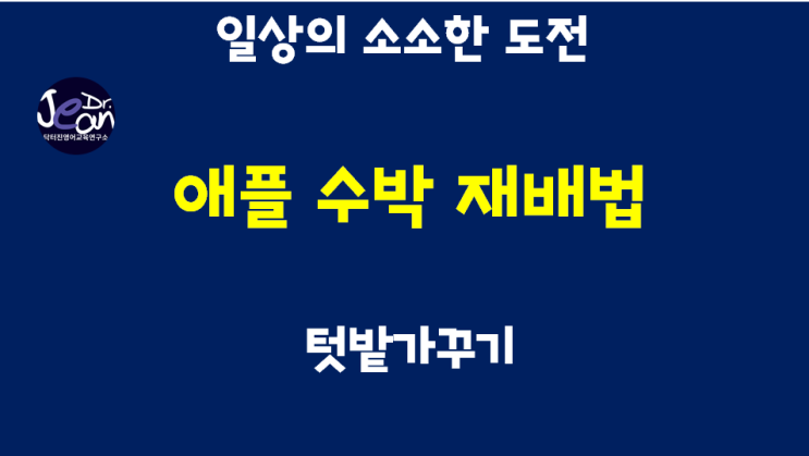  일상의 소소한 도전_텃밭가구기_ 애플수박 재배법