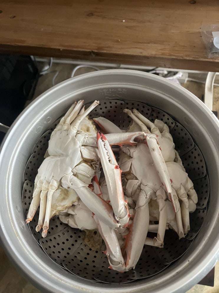  바로 가져온 꽃게로 꽃게찜, 게살볶음밥, 라면까지(꽃게 손질법 및 찌는 법)