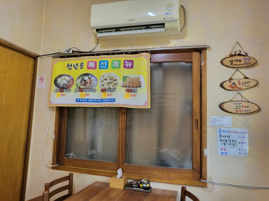 천년송향기 사진 5