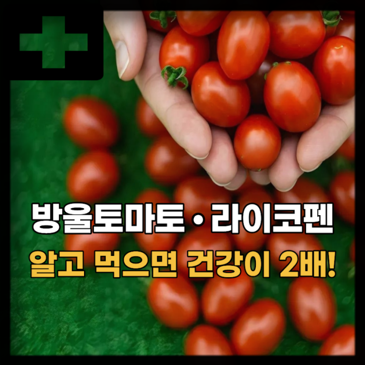  방울토마토 효능 라이코펜, 눈 건강부터 항산화 효과까지