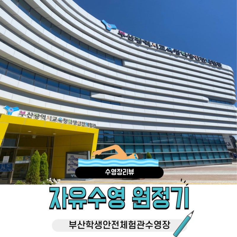 수영장 | 명지 부산학생안전체험관 수영장 일일수영 후기