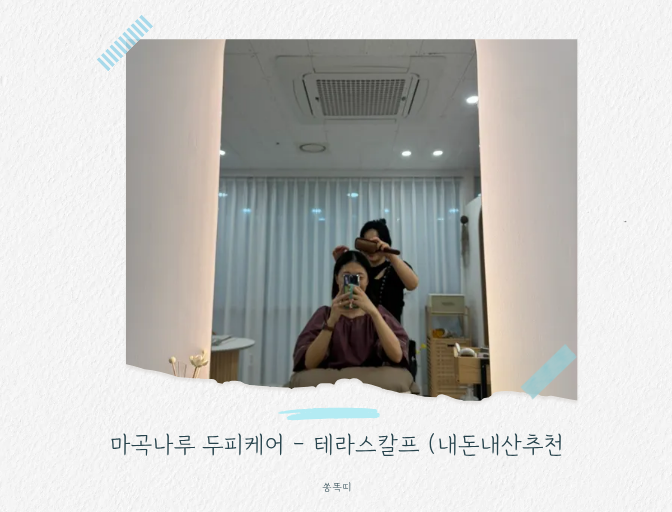  마곡나루 두피 마사지 - 두피케어로 힐링 하는 테라스칼프(내돈내산 추천후기)