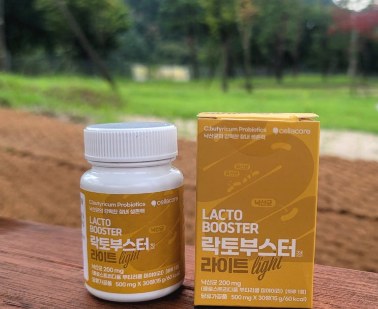  유산균추천 락토부스터 라이트로 장케어하기 낙산균과 유산균 차이!