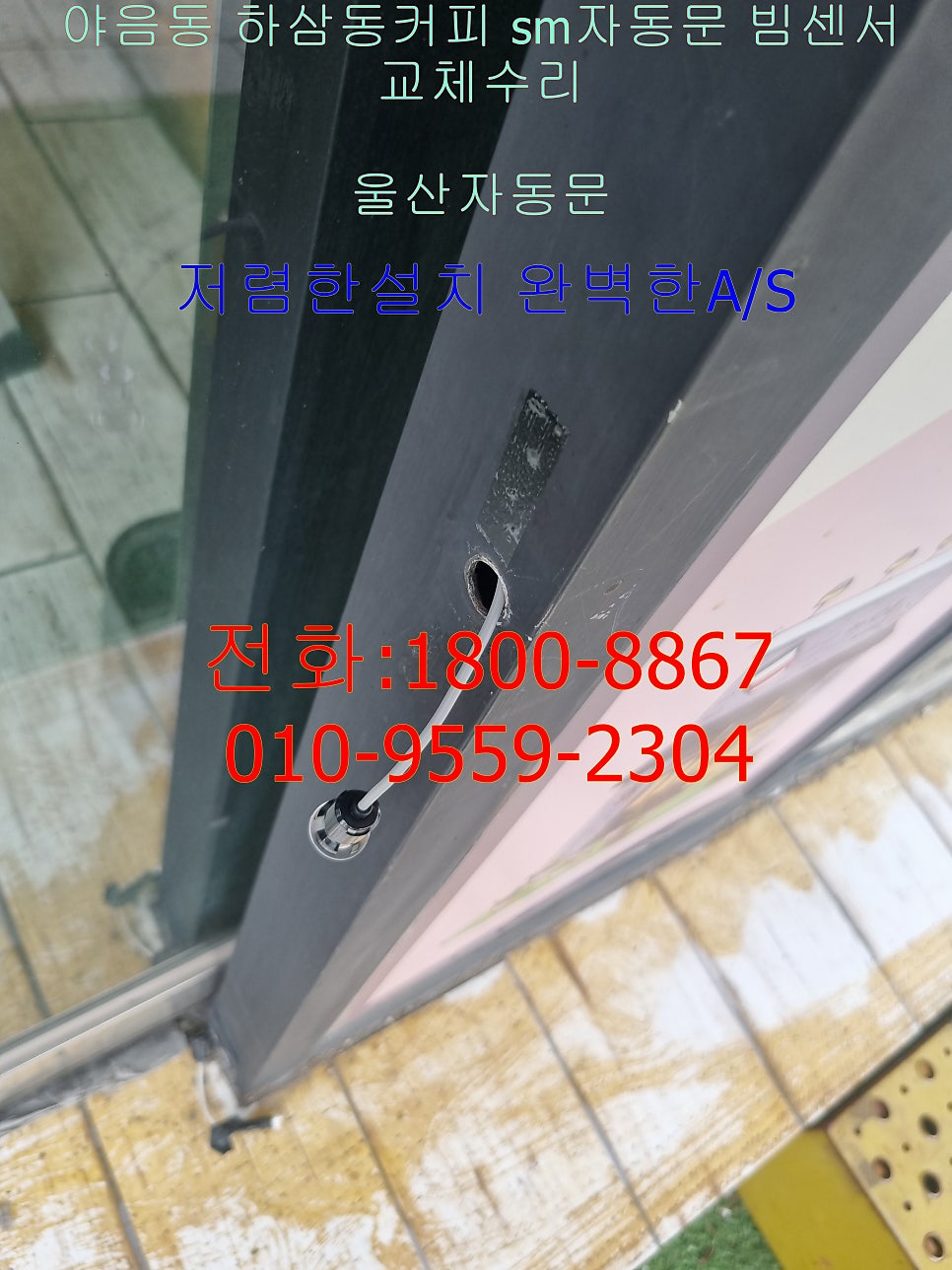 하삼동커피 야음점 사진 4