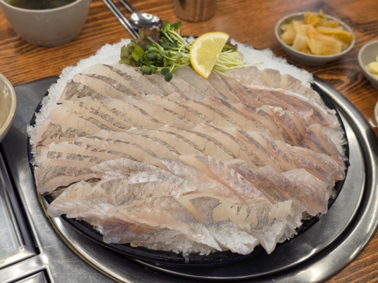  안산 맛집 윤선장어시장 고잔동 활어회 단체 회식장소 횟집 추천