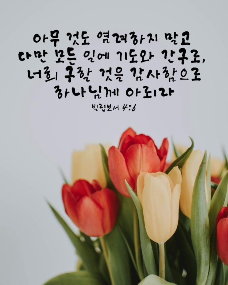  빌립보서 4장 6절 /염려 대신 기도, 맡김