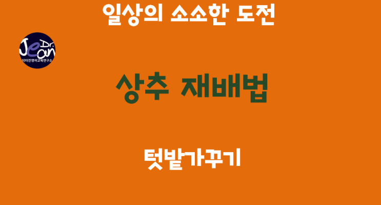  일상의 소소한 도전_텃밭가꾸기_상추 재배법