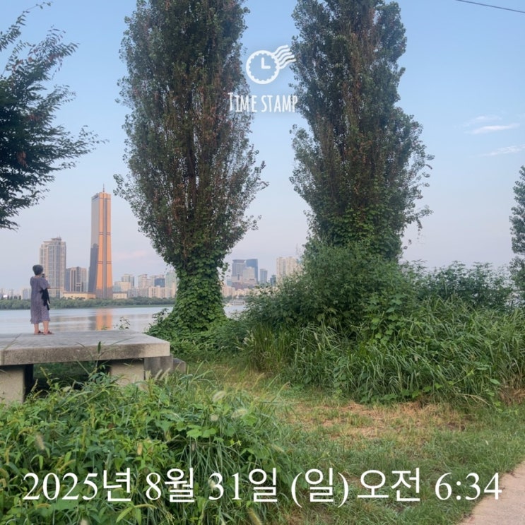  새벽단 / 오늘은 마포대교까지 ~ 노들섬의 아름다운 저녁