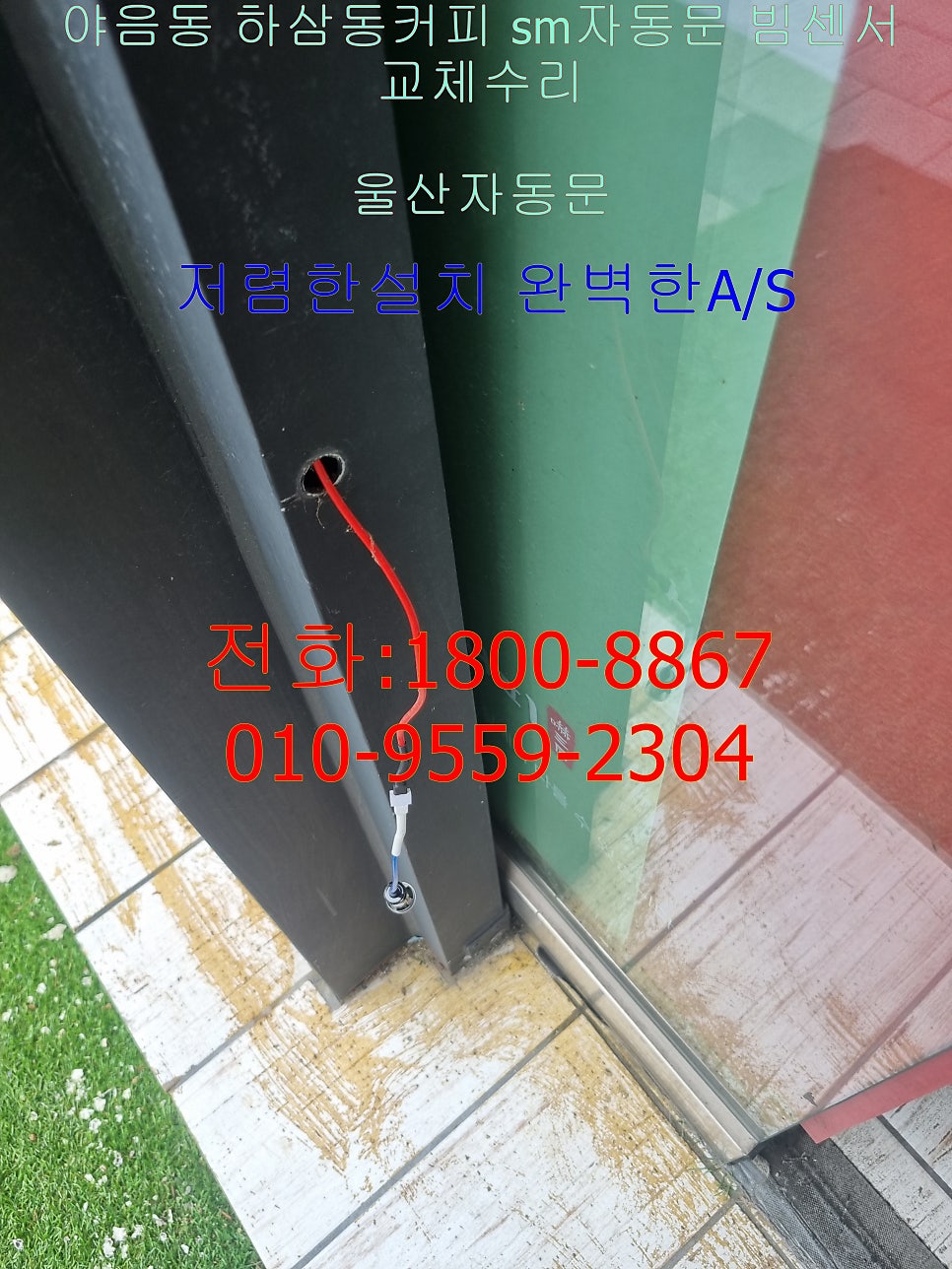 하삼동커피 야음점 사진 3