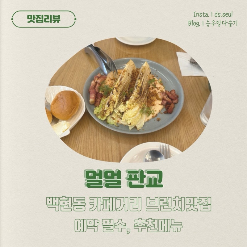 멀멀 판교
