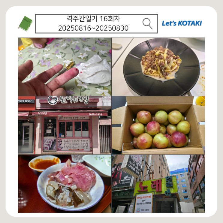  격주간일기 연재 종료 | 8월 16일부터 30일까지