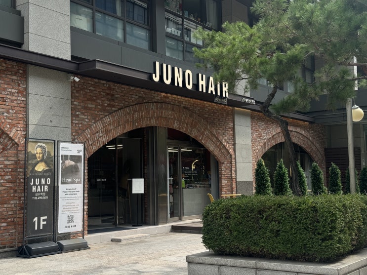  성수역 미용실 준오헤어 모발클리닉 후기