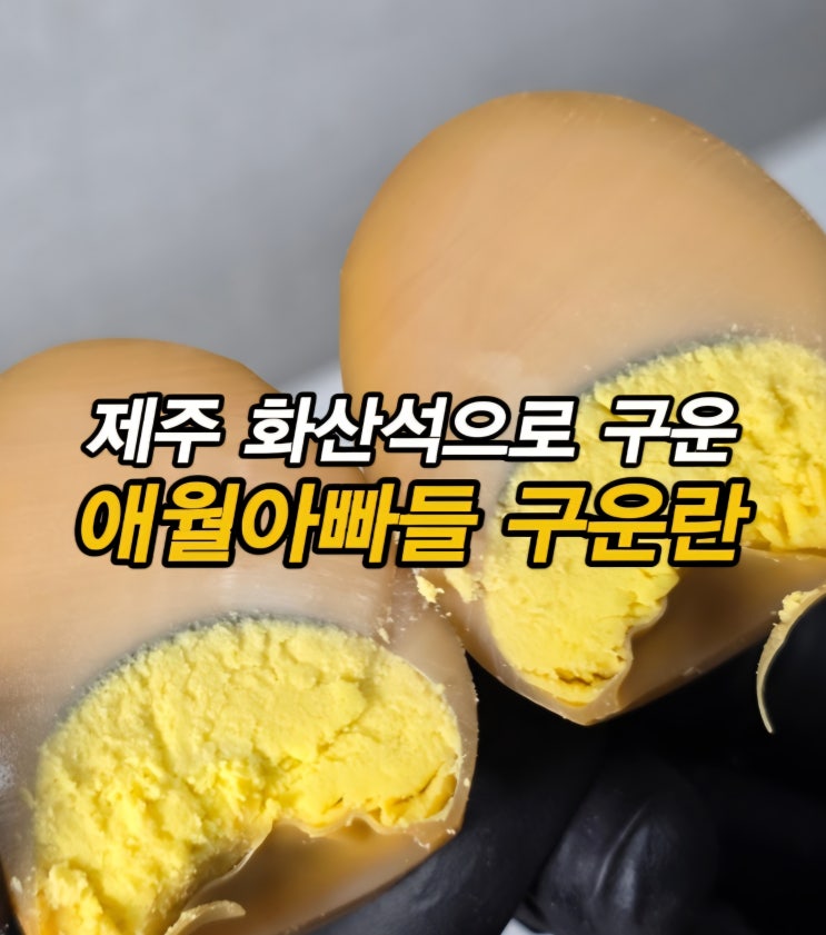  제주 화산석으로 구운 무항생제 맥반석 계란 애월아빠들 화산석구운란 (ft. 부활절 계란)
