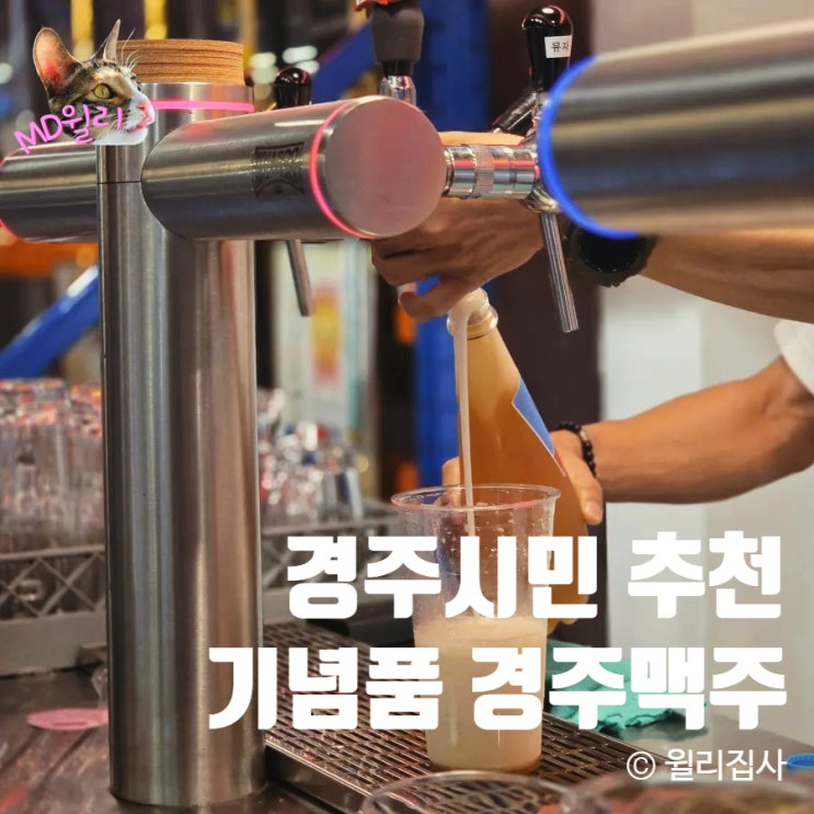  경주여행 경주가볼만한곳 황리단길기념품 경주맥주