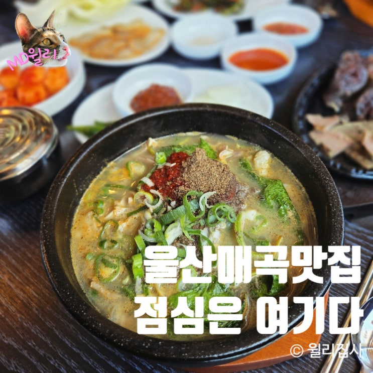  울산매곡맛집 순대일번지 점심 순대국에 파김치
