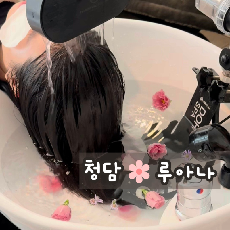 사진 9