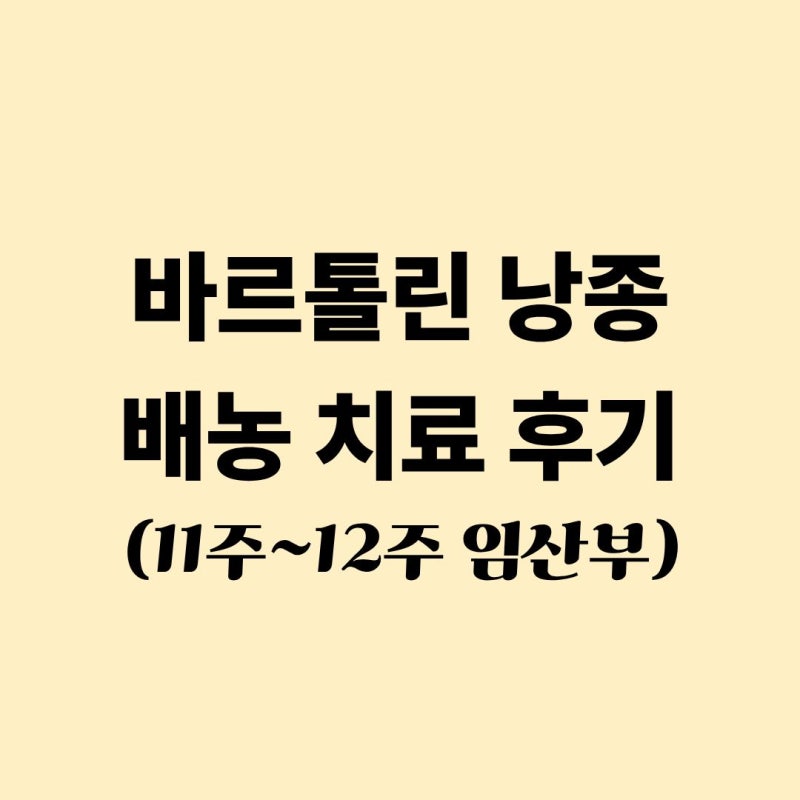 임산부 바르톨린 낭종 배농 치료 후기 (11주~12주)