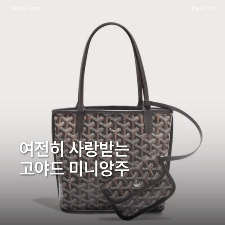  미니백의 정석 고야드 미니앙주로 완성한 셀럽 가을룩
