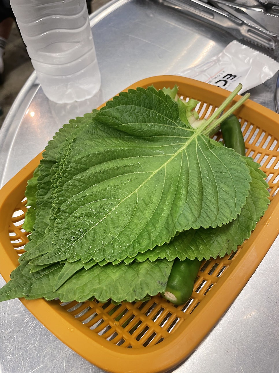 꽃대디 사진 5