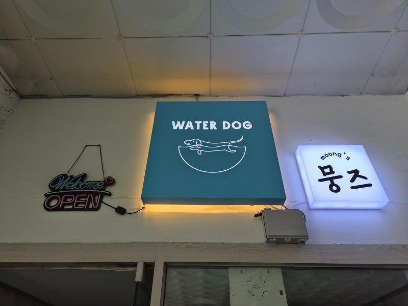 사진 2