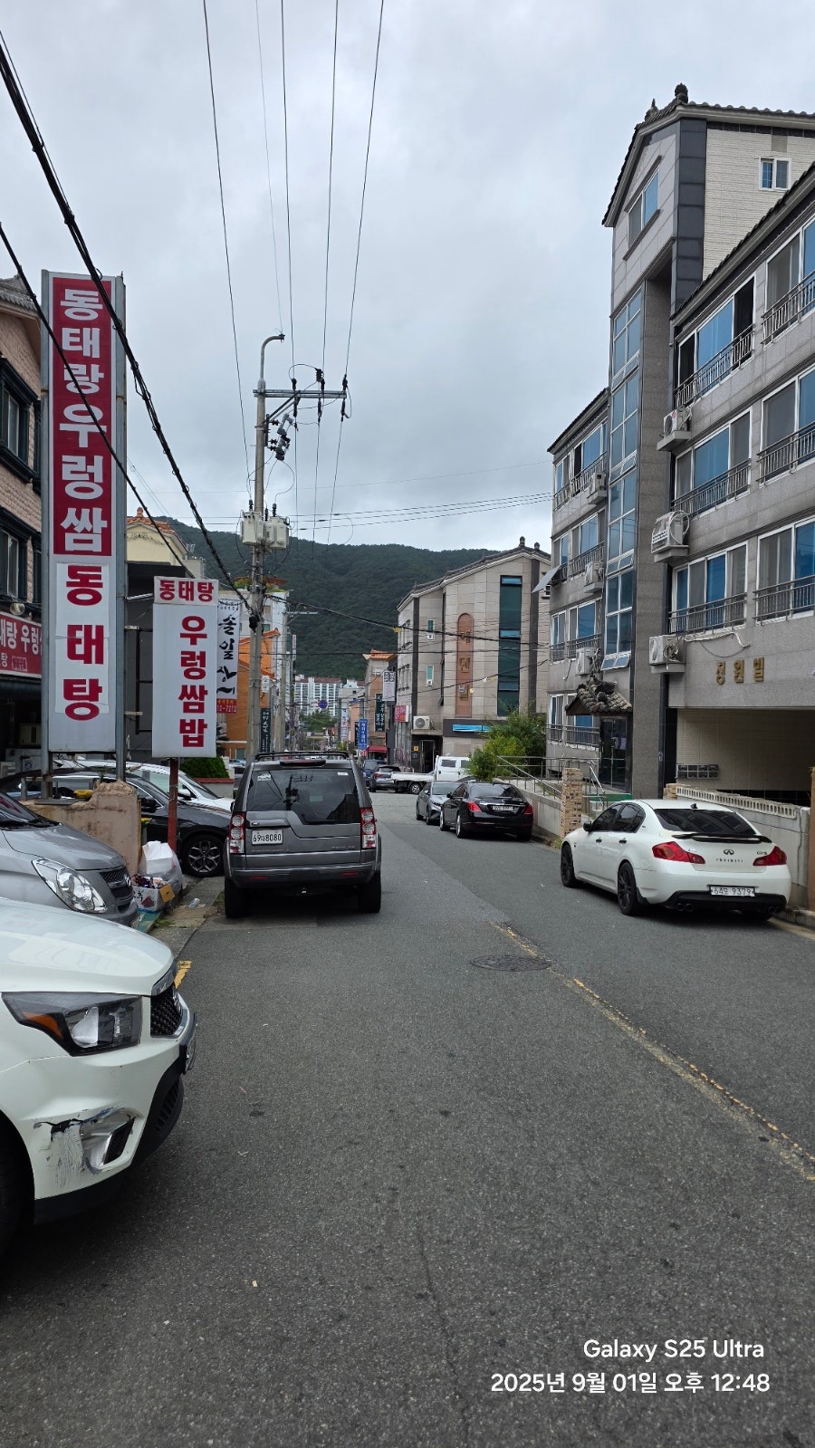 동태랑 사진 1