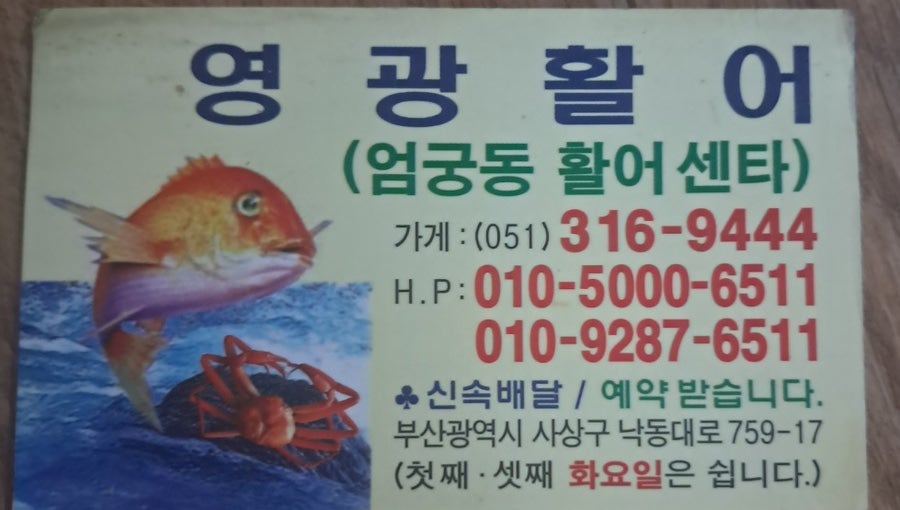 영광활어 사진 4