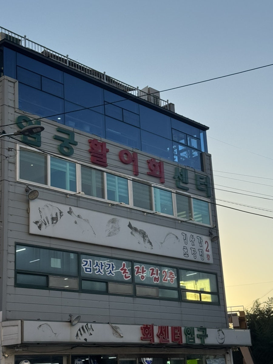 영광활어 사진 2