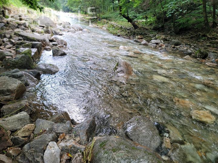 노목산장가든 사진 4