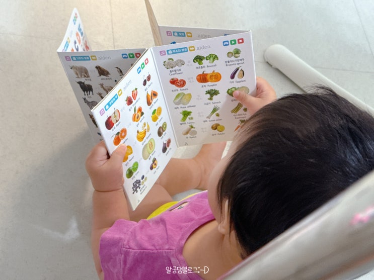  미니 병풍, 에이든과 함께 배워요 세이펜호환 아기병풍 워크북 후기
