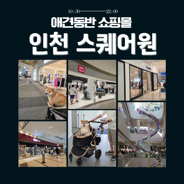  인천 스퀘어원, 실내 애견동반 쇼핑하기 좋은 곳 방문 후기