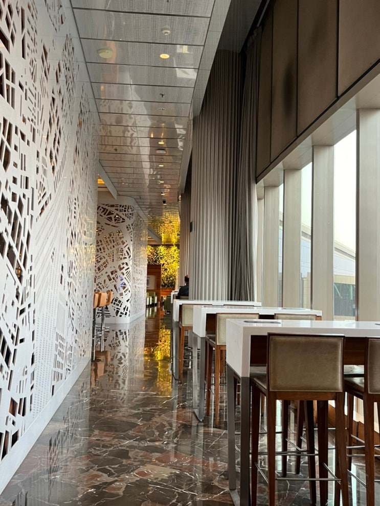  2025 인도 뭄바이 환승 공항 라운지 Adani Westwing Lounge