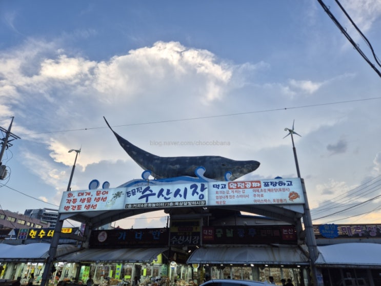  주문진 수산시장 회포장 가격 주차 광어 전갱이 모듬회 오징어 풍물시장 회뜨기 시장구경