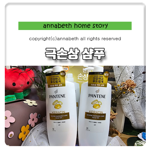 올영세일 전소연추천 극손상 향기 퍼퓸샴푸 팬틴