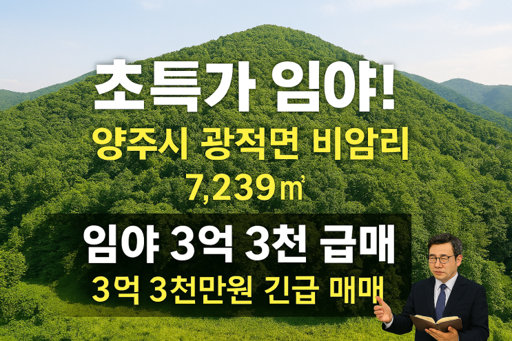  양주시 광적면 비암리 임야 7,239, 3억 3천만원 급매 기회![양주임야]