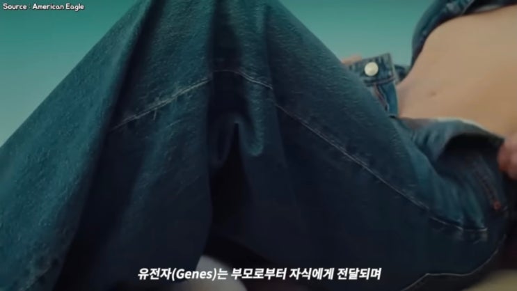  시드니 스위니 vs 캣츠아이 청바지 전쟁일어난 미국