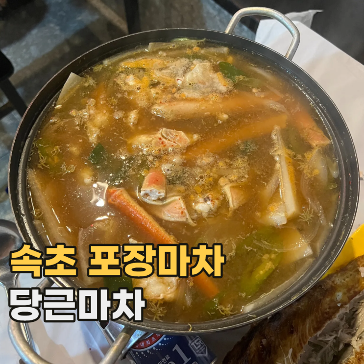  속초 당근마차 자꾸 생각나는 강원도 동명항 포장마차 거리 맛집