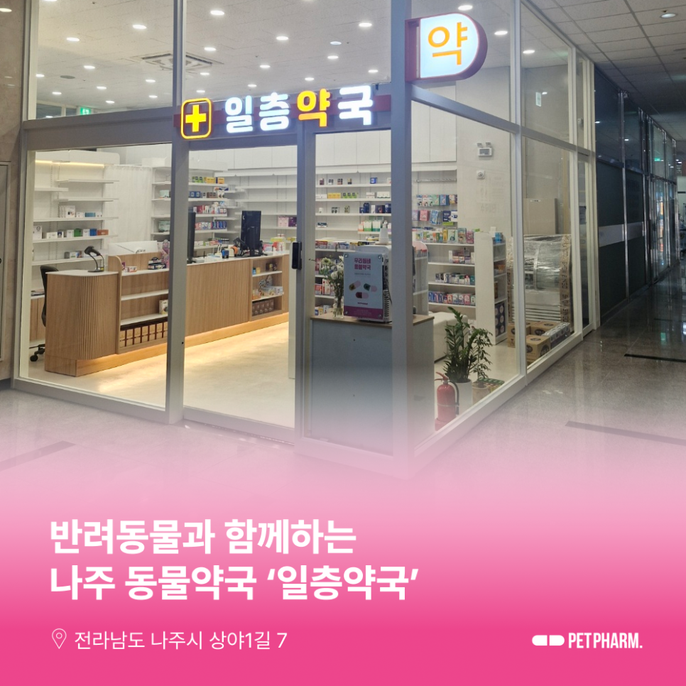 일층약국 사진 1