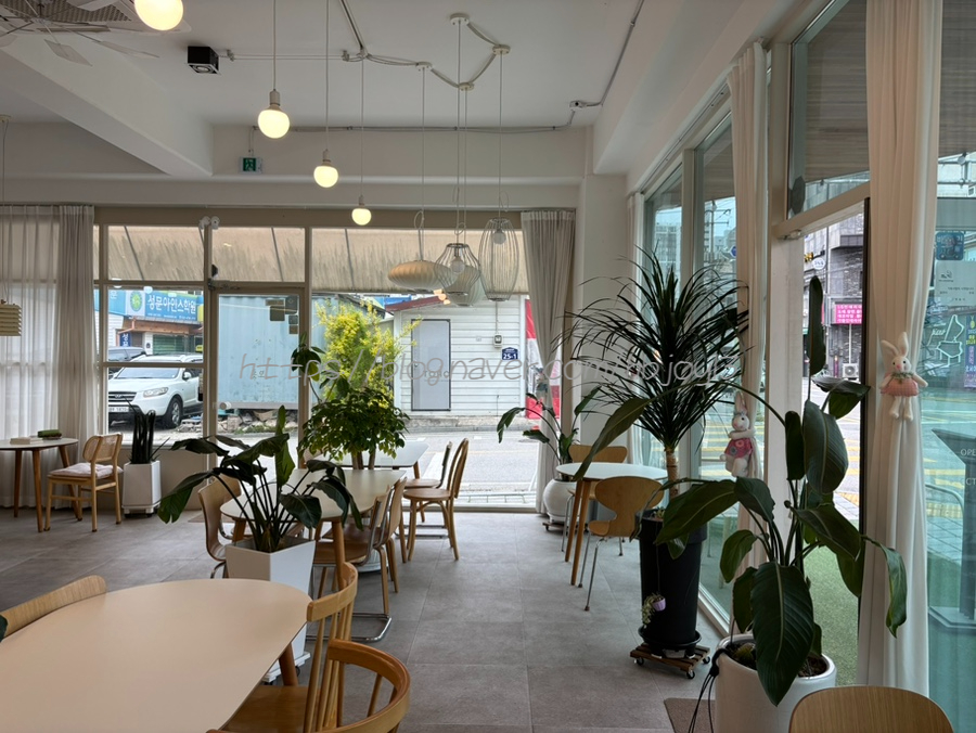 오롯 사진 6