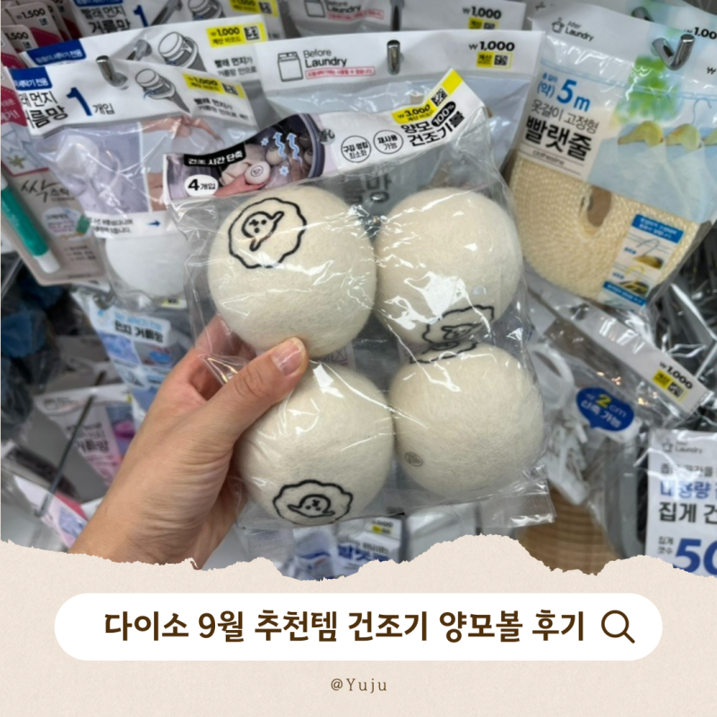 다이소 9월 추천템! 핫한 건조기 양모볼 사용후기
