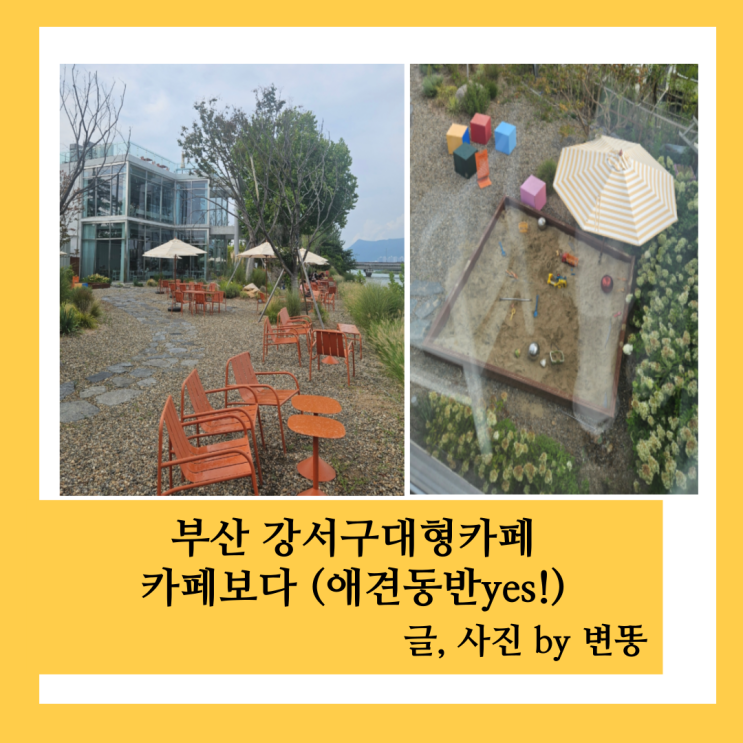  부산 강서구애견동반카페, 부산 대형카페: 카페보다(모래놀이를 할 수있어 아이들이랑 오기도 좋아요!)