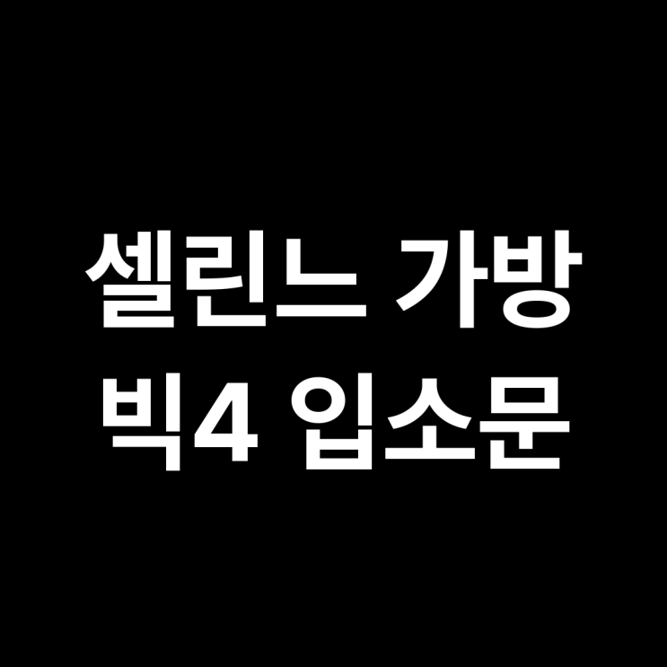  셀린느 가방 빅4 입소문! 버킷백 vs 숄더백 vs 호보백 vs 쇼퍼백