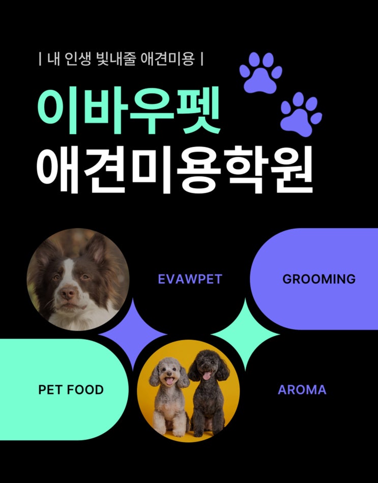  강북애견미용학원｜강아지분리불안 해결·짖음훈련·다이어트간식 꿀팁 