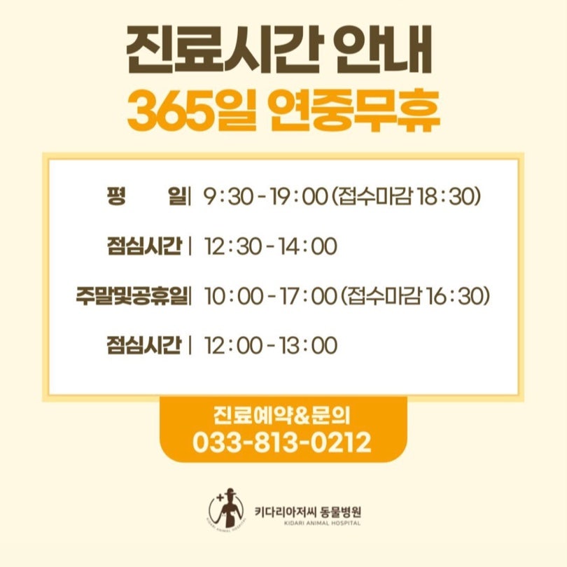키다리아저씨동물병원 사진 2