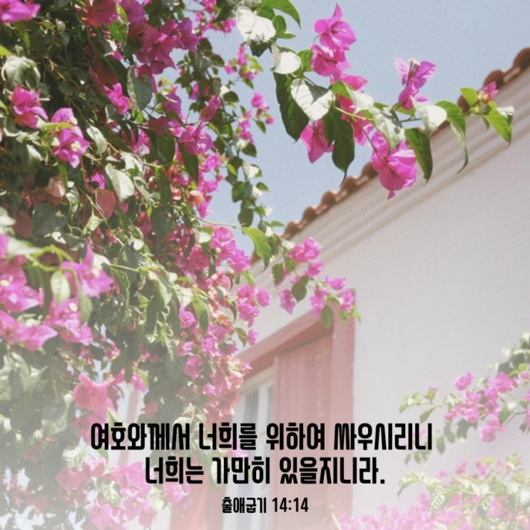  출애굽기 14장 14절 / 여호와께서 싸우신다