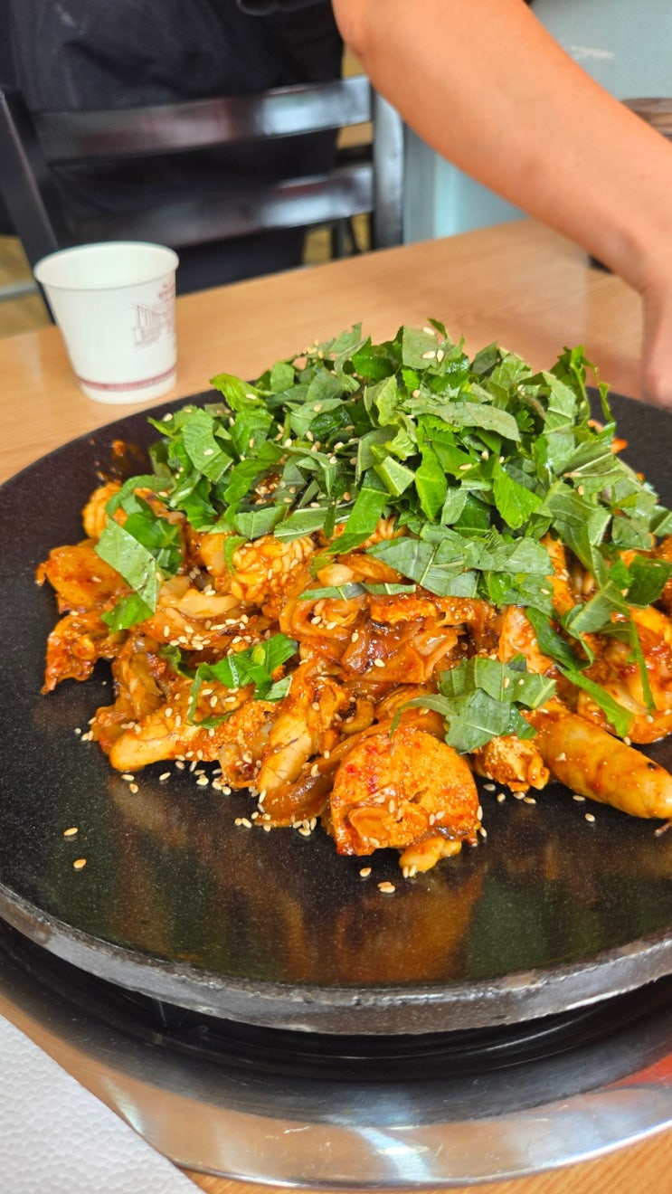  충주맨 맛집 알선생 철판알볶음 먹으러 충주시청 여행옴