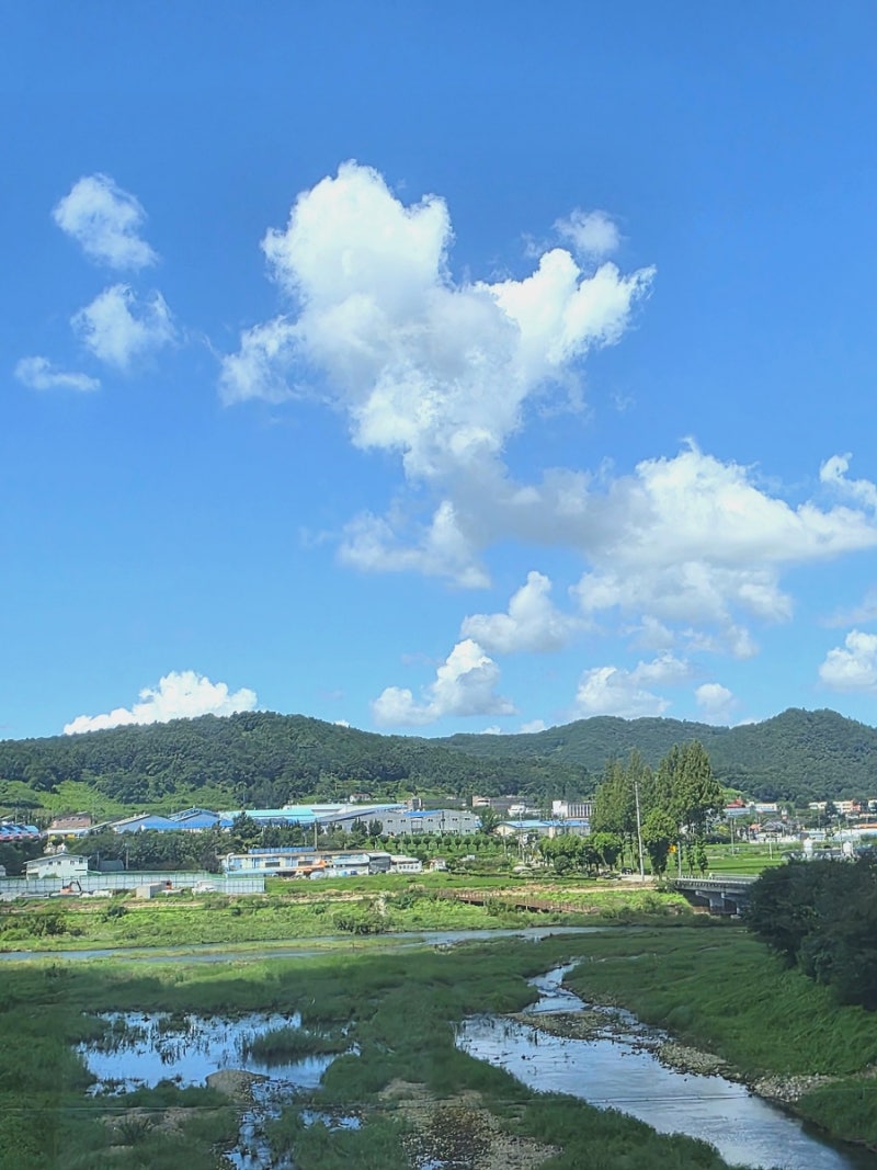 사진 8