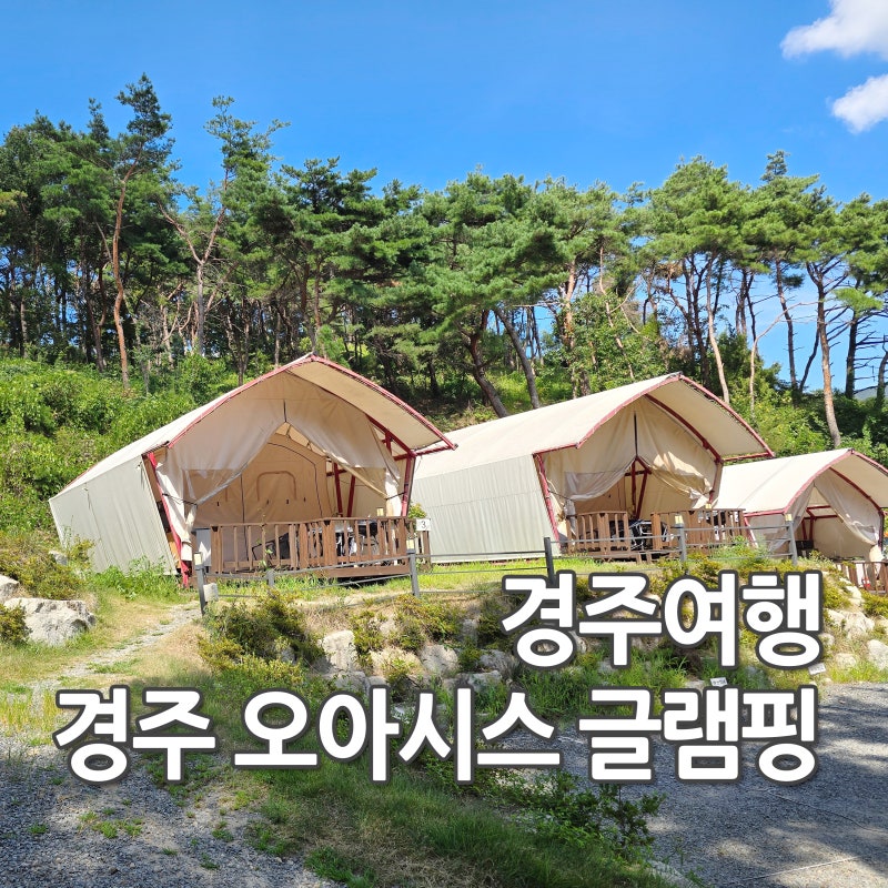 사진 3
