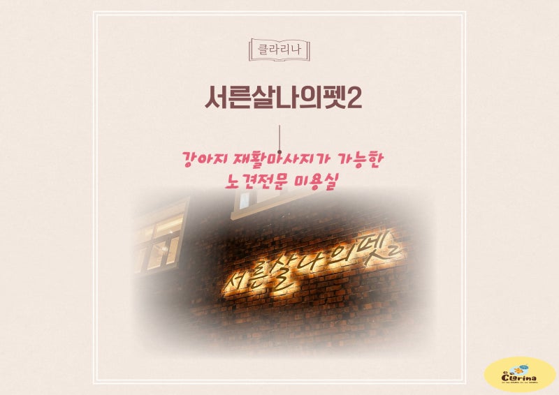 사진 2
