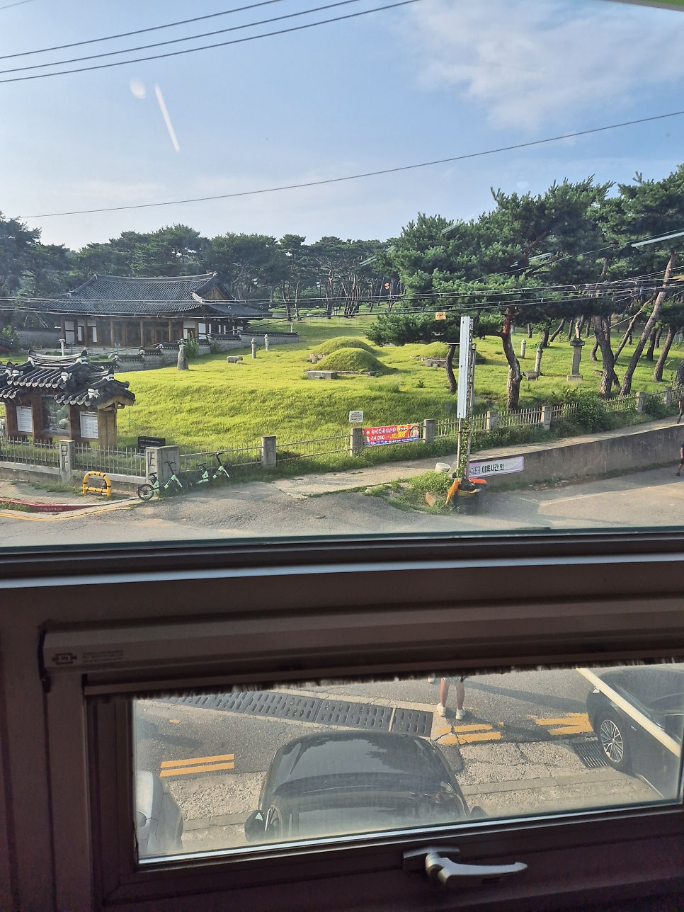 청량산생오리 사진 1